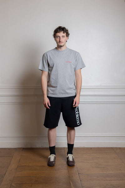 Mini Problemo Ss Tee Men - Grey Marl